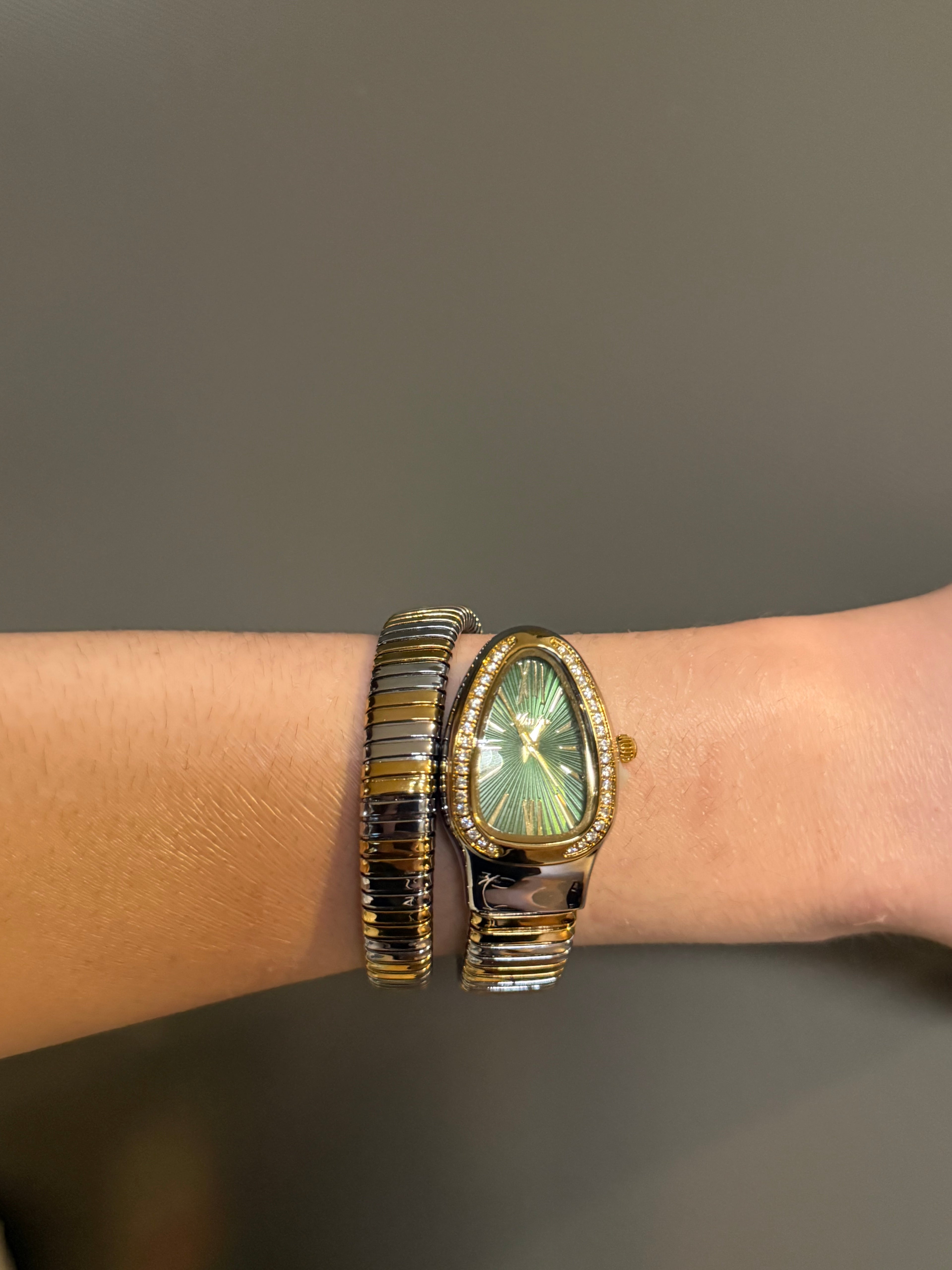 Snake Women’s Bracelet Watch