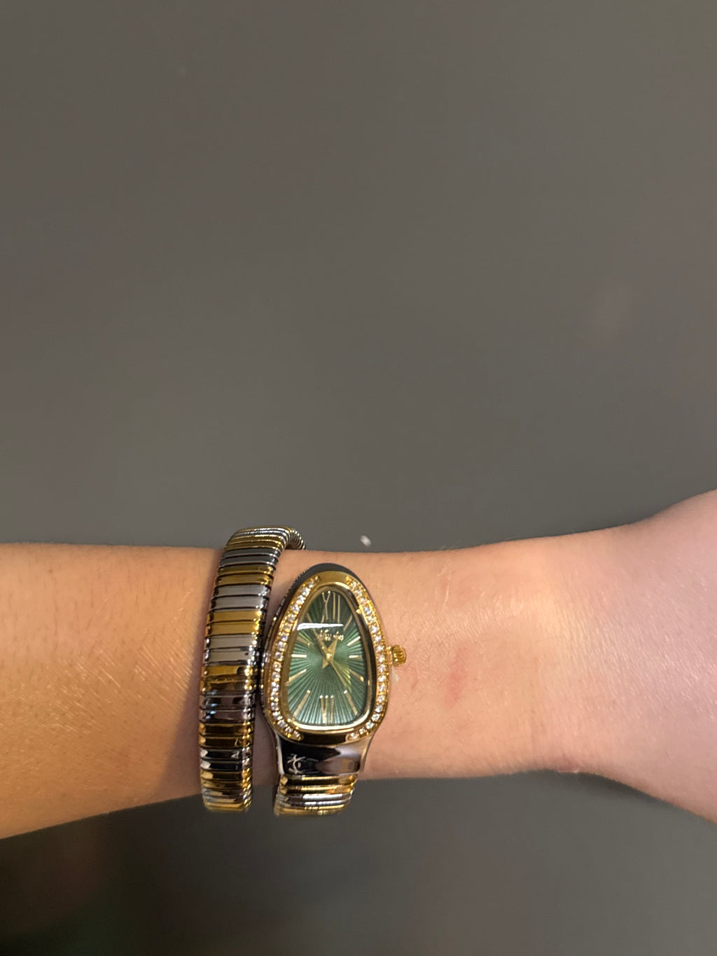Snake Women’s Bracelet Watch