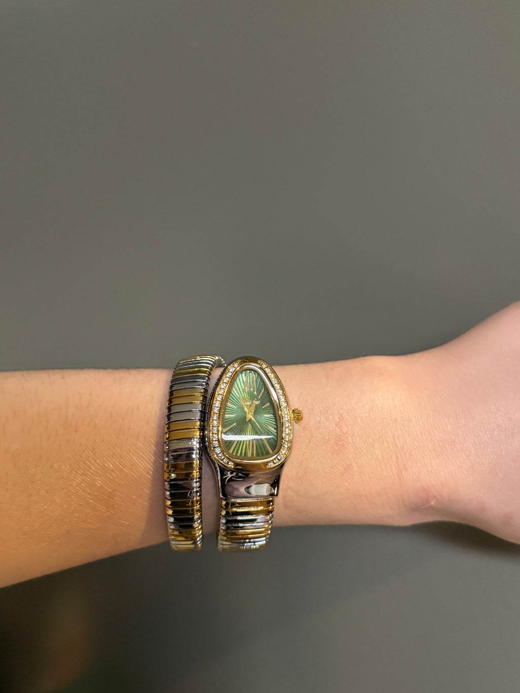 Snake Women’s Bracelet Watch